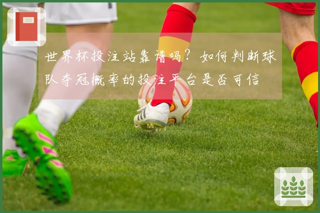 世界杯投注站靠谱吗？如何判断球队夺冠概率的投注平台是否可信