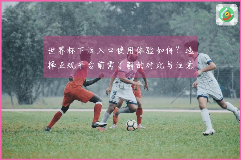 世界杯下注入口使用体验如何？选择正规平台前需了解的对比与注意事项