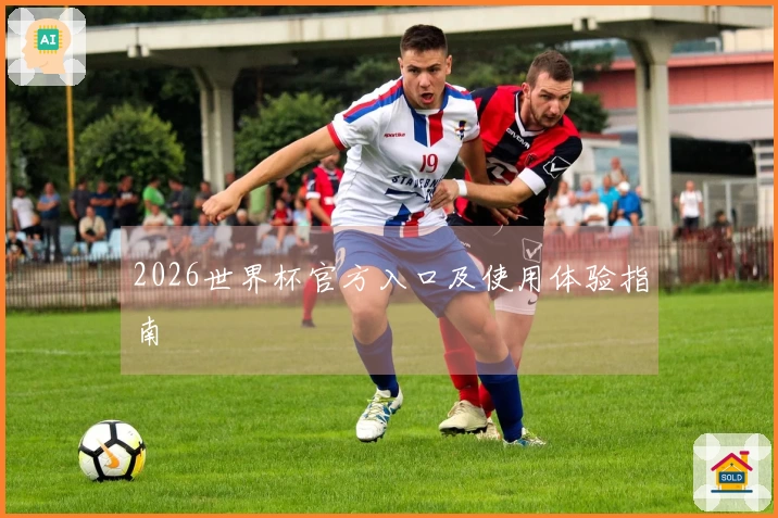 2026世界杯官方入口及使用体验指南