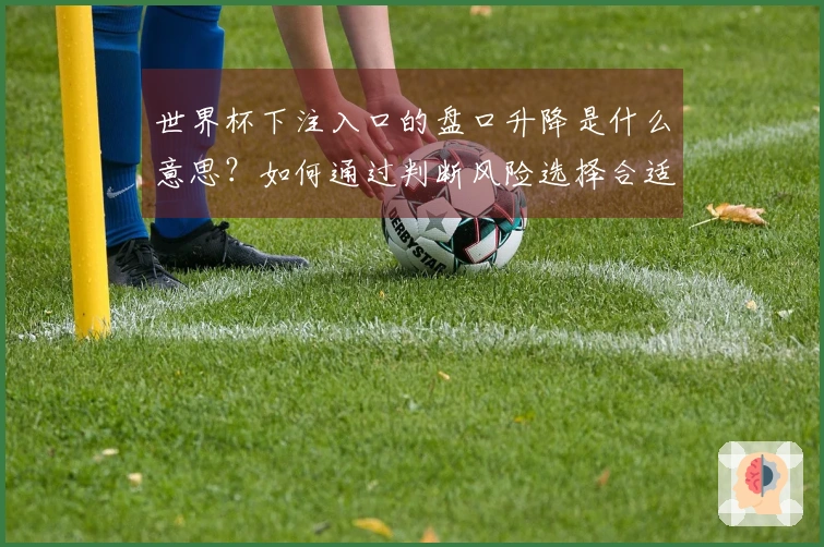 世界杯下注入口的盘口升降是什么意思?如何通过判断风险选择合适的投注时机