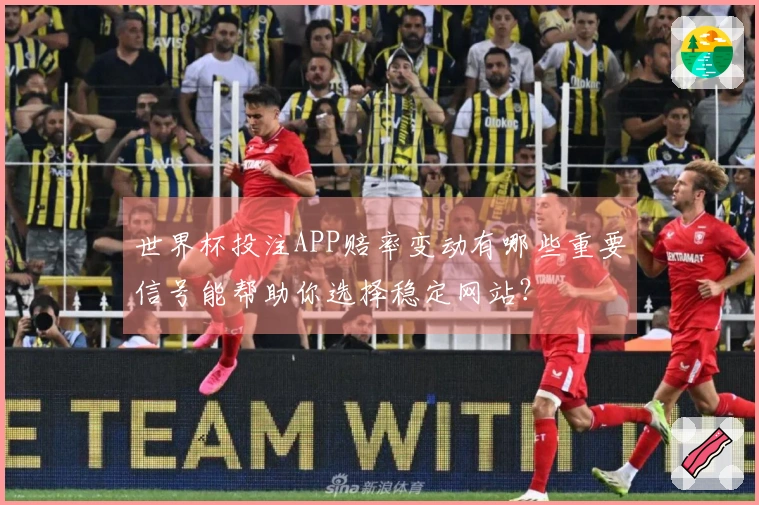 世界杯投注APP赔率变动有哪些重要信号能帮助你选择稳定网站？