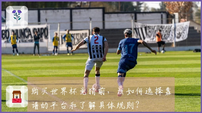 购买世界杯竞猜前，该如何选择靠谱的平台和了解具体规则？