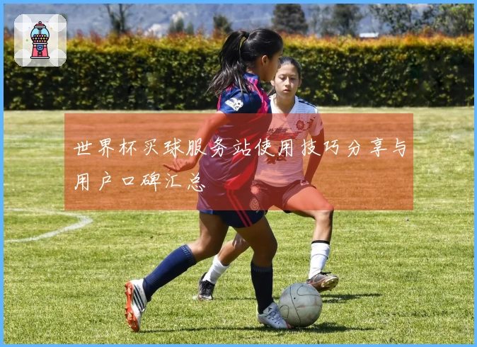 世界杯买球服务站使用技巧分享与用户口碑汇总
