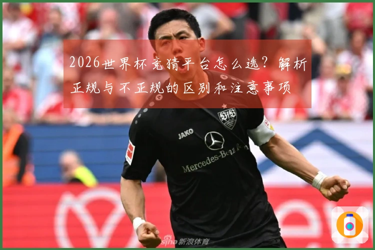 2026世界杯竞猜平台怎么选？解析正规与不正规的区别和注意事项