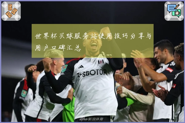 世界杯买球服务站使用技巧分享与用户口碑汇总