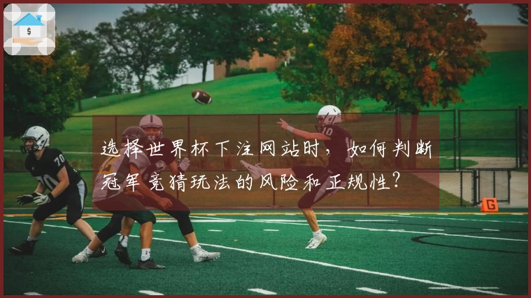 选择世界杯下注网站时，如何判断冠军竞猜玩法的风险和正规性？