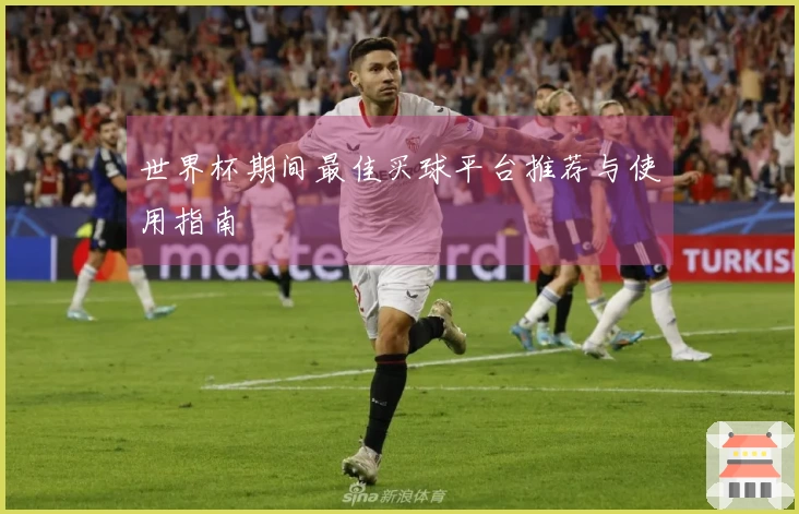 世界杯期间最佳买球平台推荐与使用指南