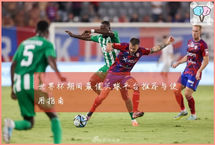 世界杯期间最佳买球平台推荐与使用指南