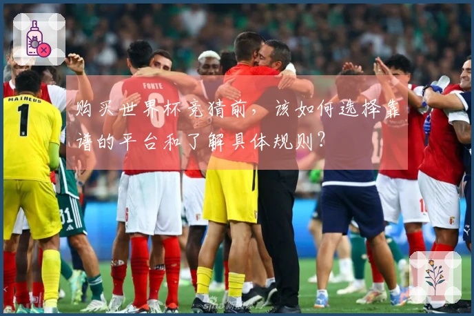 购买世界杯竞猜前，该如何选择靠谱的平台和了解具体规则？