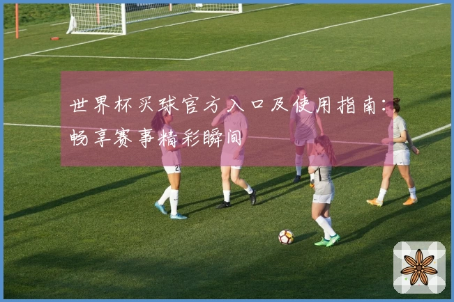 世界杯买球官方入口及使用指南：畅享赛事精彩瞬间
