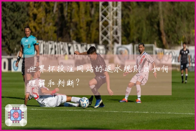世界杯投注网站的返水规则该如何理解和判断？