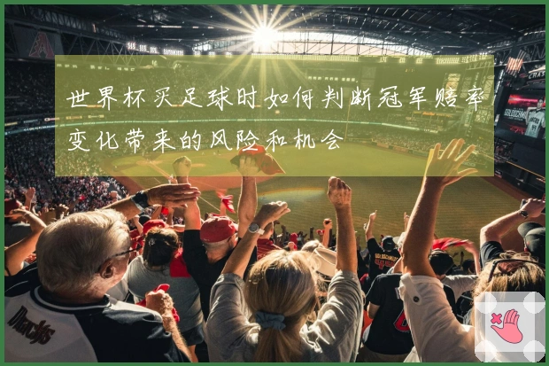 世界杯买足球时如何判断冠军赔率变化带来的风险和机会