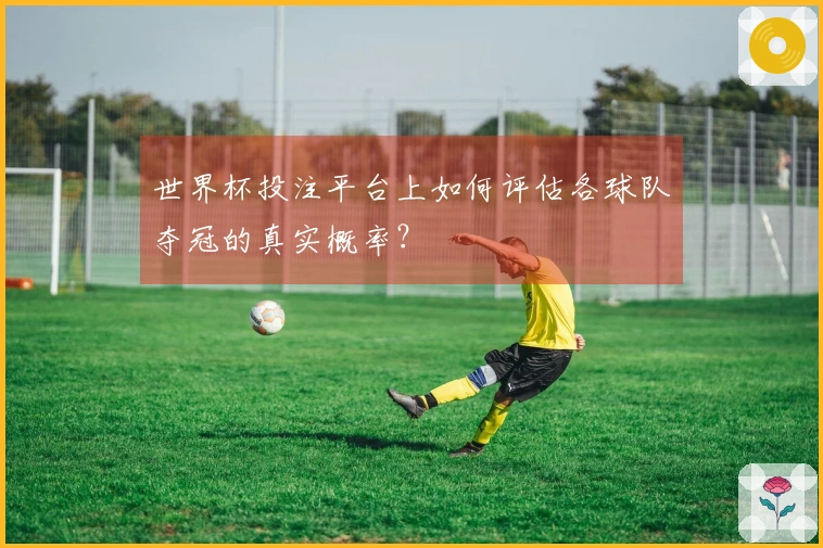 世界杯投注平台上如何评估各球队夺冠的真实概率？