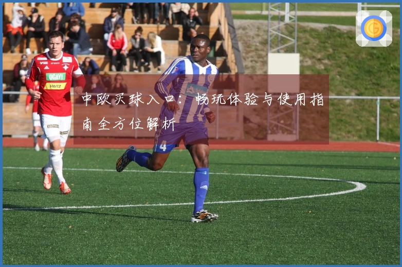 中欧买球入口：畅玩体验与使用指南全方位解析
