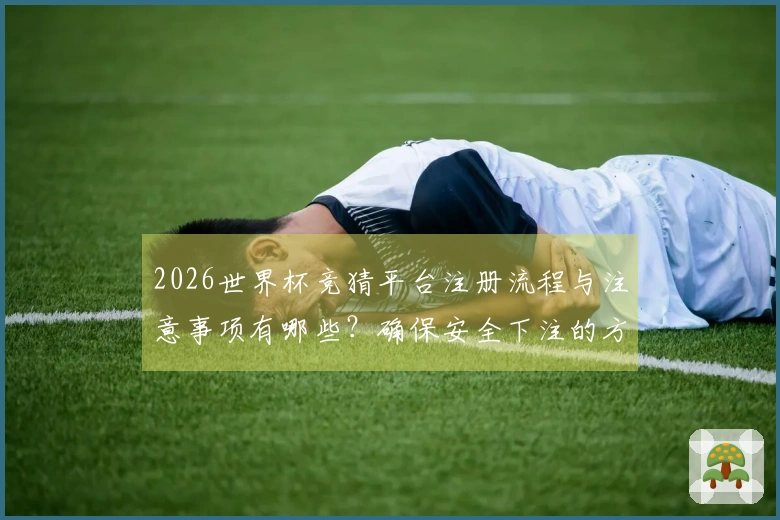 2026世界杯竞猜平台注册流程与注意事项有哪些？确保安全下注的方法解析