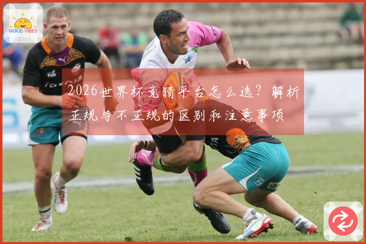 2026世界杯竞猜平台怎么选？解析正规与不正规的区别和注意事项