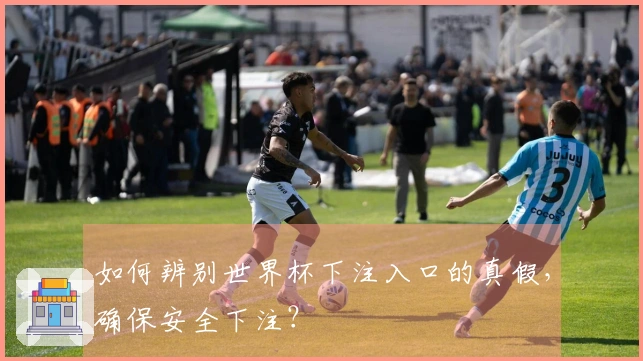 如何辨别世界杯下注入口的真假，确保安全下注？