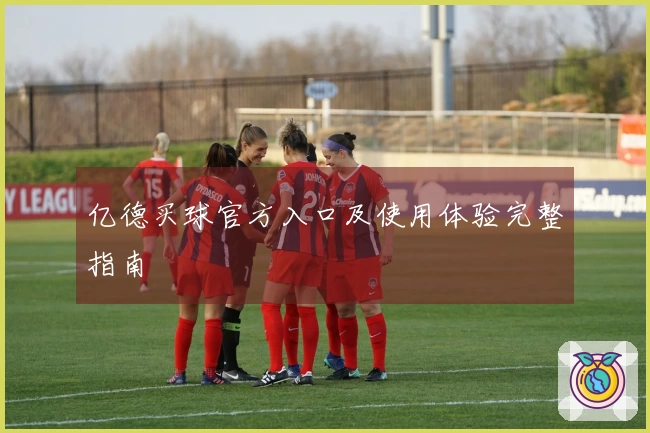 亿德买球官方入口及使用体验完整指南