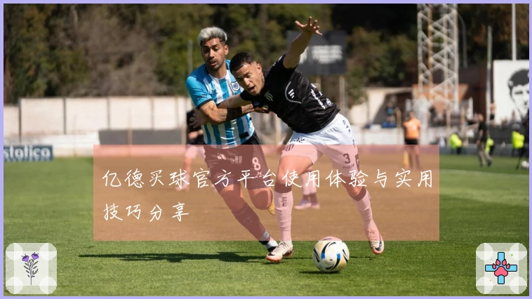 亿德买球官方平台使用体验与实用技巧分享